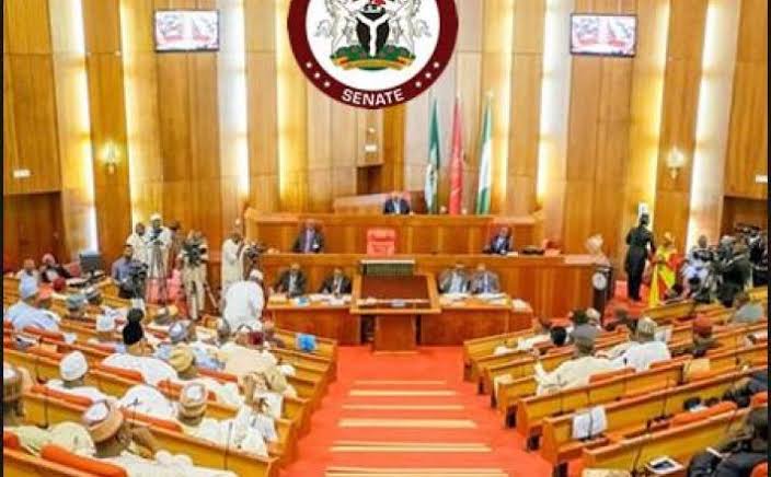 Senate to pass bill on arms proliferation soon – spokesperson