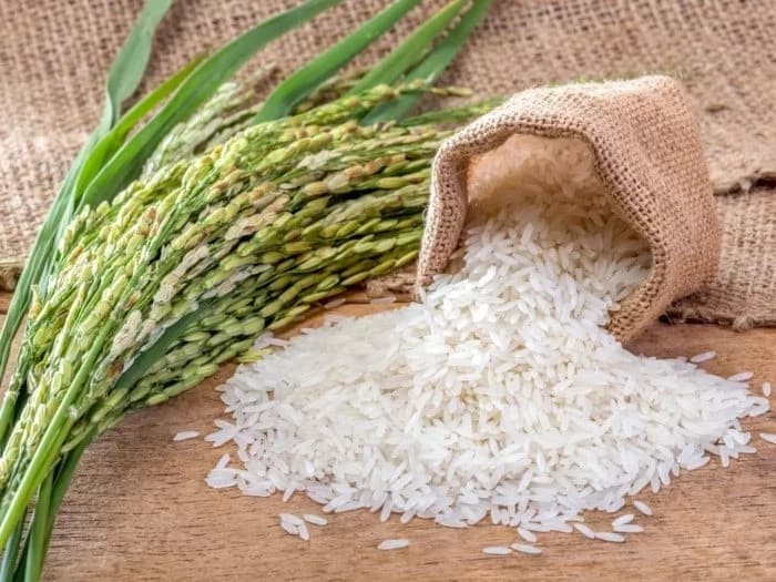 Boosting Nigeria’s food security agenda through improved rice production