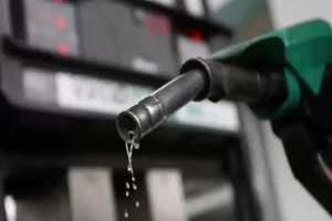 Economist canvasses total petroleum subsidy removal to reduce budget deficit