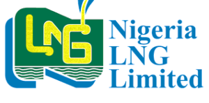 Nlng outlines strategies for achieving decade of gas initiative