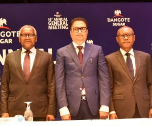 Dangote sugar declares n276bn turnover, n12. 417bn dividend