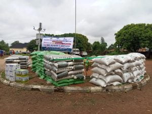 Poor rice farmers assure of bumper harvest in nasarawa state