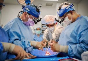 U. S. Researchers perform pig-to-human heart transplants