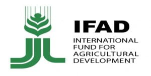 Ifad urges farmers to sustain value chain initiative in niger