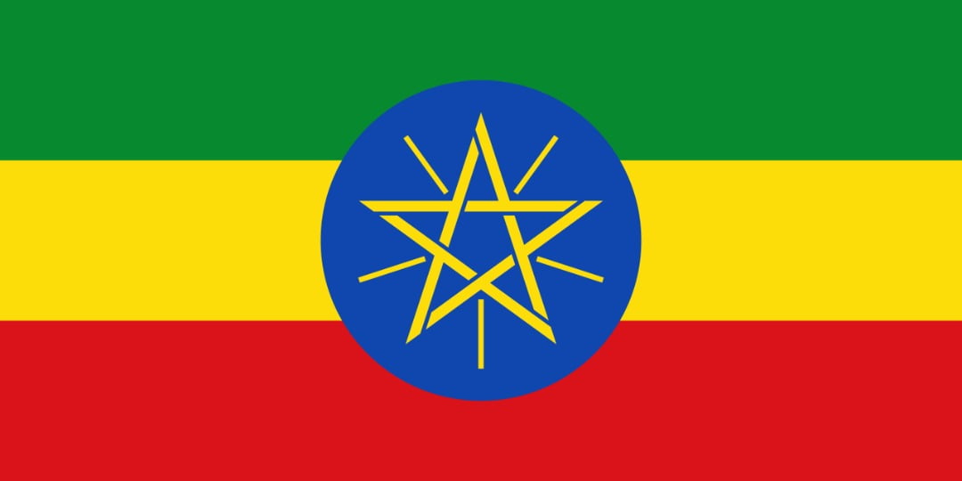 Despite war, ethiopia reports more foreign direct investment