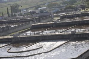 Wupa sewage treatment plant: senate tasks aepb on alternative energy