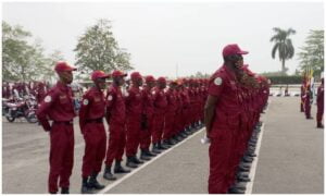 Amotekun recovers ak-47 rifles, ammunition hidden in forest in oyo state