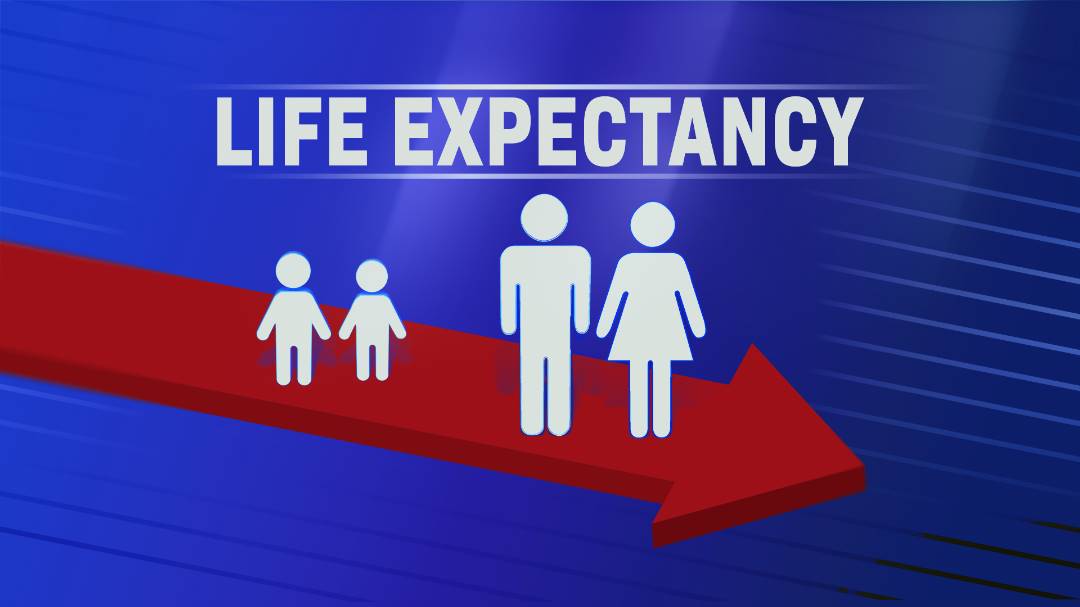 Who says life expectancy increased from 46 to 73 years