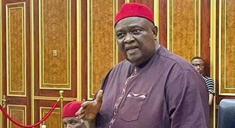 We'll revive agriculture, industries in igboland, says iwuanyanwu, new ohaneze leader