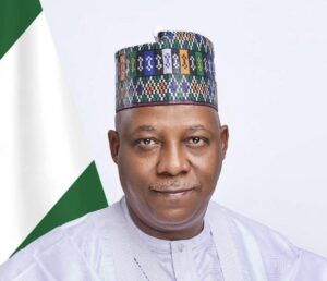 Tax reforms: develop robust roadmap, shettima urges committee