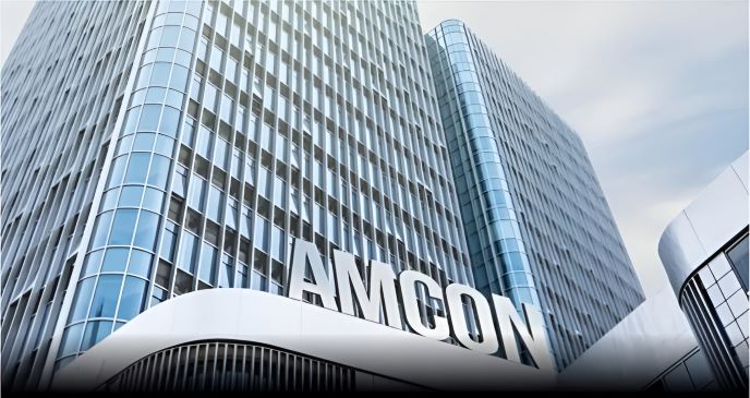 Tinubu, appointment, management team, amcon 