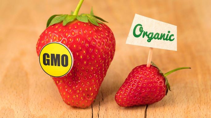 Agriculture, stakeholders, warn against danger, GMO crops
