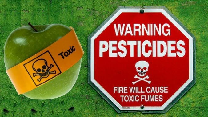 Poisonous pesticide, West Africa, Who will bell the cat? By Ebere Agozie