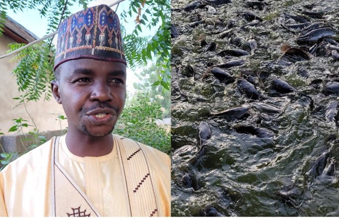 I earned n1m from fish farming in 2023, says civil servant