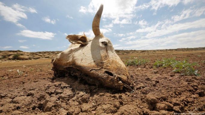 El nino-induced droughts, more than 7m zimbabweans need food aid, says official