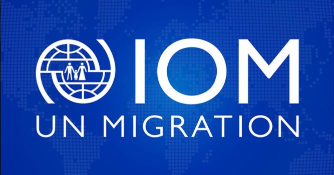 $647bn of $831bn international remittances made by migrants, says iom 