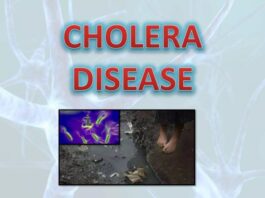 Cholera: Be careful when patronising local food vendors, expert cautions