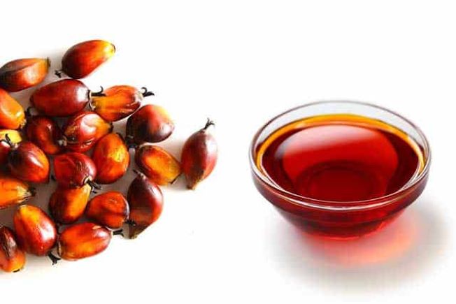 Nutritionists advocate palm oil consumption, list benefits