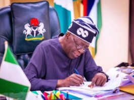 NAFDAC hails Tinubu for signing Executive Order on health sector 