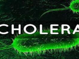 WHO announces global spike in cholera