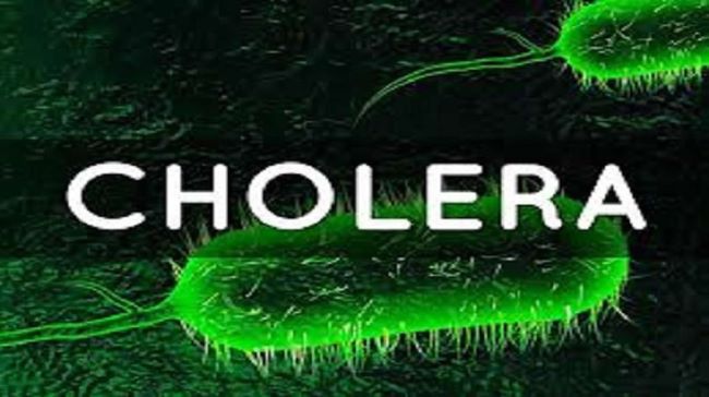 WHO announces global spike in cholera