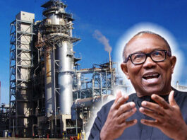 Support Dangote Refinery, don't vilify it, Peter Obi urges Govt