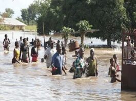 Lifesaving measures to combat flood impacts - Expert