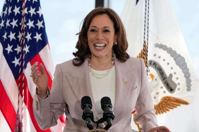 Democrats rally behind kamala harris in show of unity