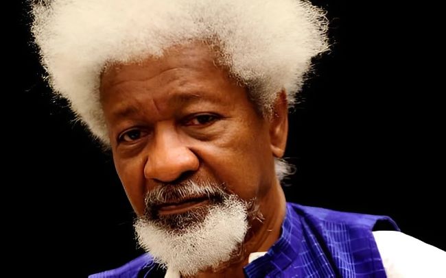 Soyinka @ 90: he's tallest living iroko in nigeria’s literary forest - ncc