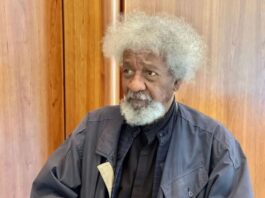 Soyinka's contributions to Nigeria, world immeasurable, says Culture Minister