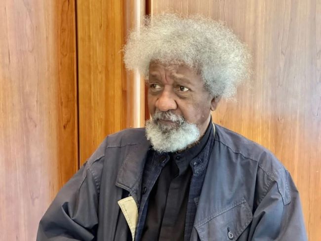 Soyinka's contributions to nigeria, world immeasurable, says culture minister