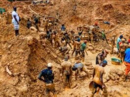 Group wants 387 arrested illegal miners thoroughly investigated 