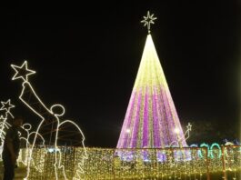 Africa’s tallest Christmas tree to be 'planted' in Abuja