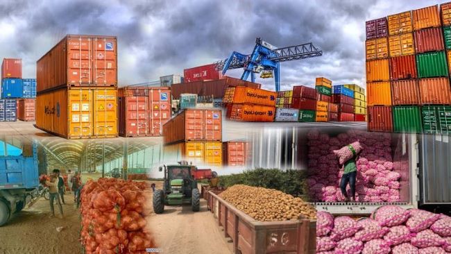 Shippers council decries increasing global rejection of nigeria’s agro exports