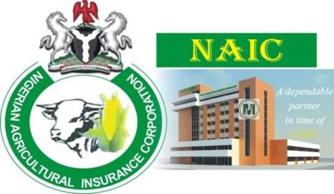 Naic says insured flood victims with genuine claims ‘ll get urgent attention  