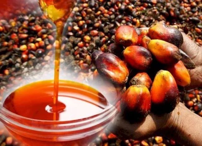 Businessman hails soludo’s palm oil revolution