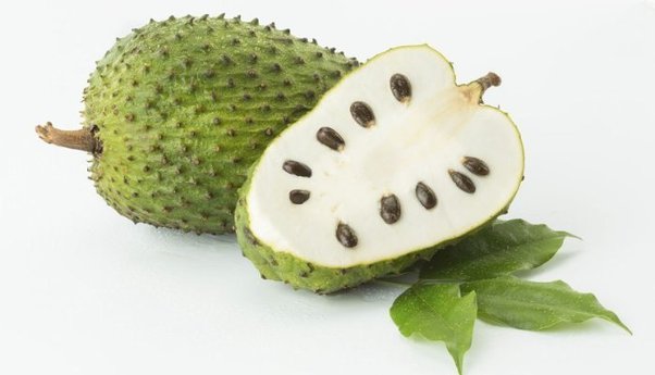 Soursop potential forex earner for nigeria