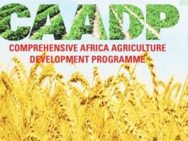 Nigeria ranks 3rd best country in CAADP biennial review process