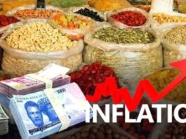 Food prices increased significantly in August 2024, says NBS