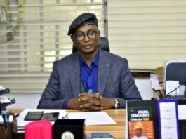 Fake, criminal tax collectors hit Kaduna - Kaduna Govt.