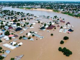 Flood: Borno Govt commences fumigation of Maiduguri 