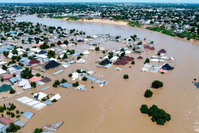 Flood: borno govt commences fumigation of maiduguri 