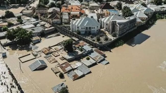 Borno flood: fears raised over abuse, exploitation of women, children