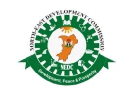 Maiduguri flood: NEDC supports SMEs owners with N3b 