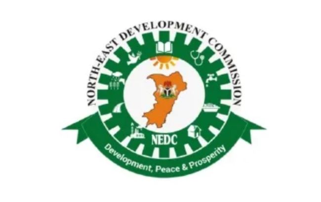 Maiduguri flood: nedc supports smes owners with n3b 