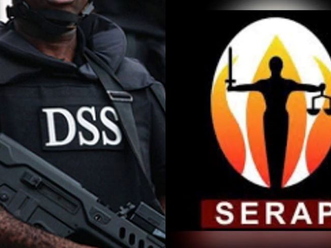 Serap narrative on "invasion" inacurate, misleading - dss