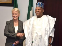 Food security: FG to strenghten collaboration with global bodies